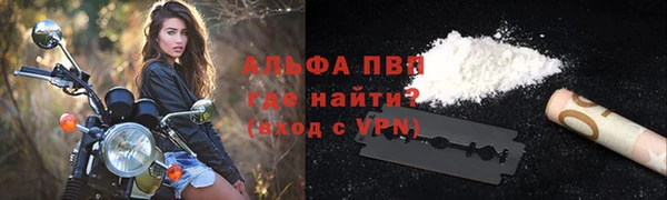 гашик Абаза