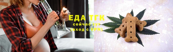 индика Покачи