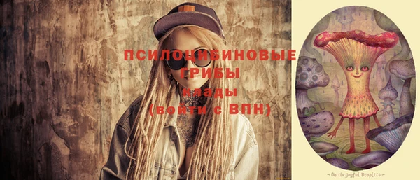 индика Покачи