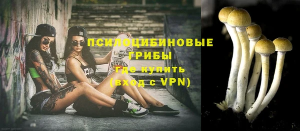 индика Покачи