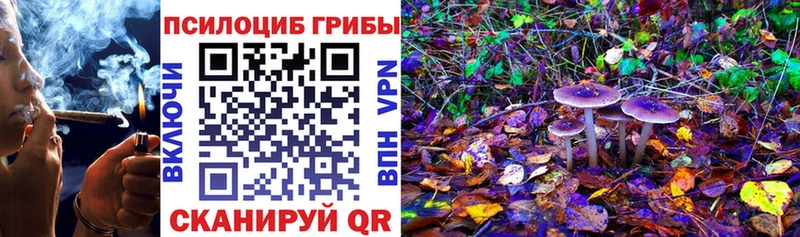 Галлюциногенные грибы ЛСД  МЕГА как войти  Хилок 